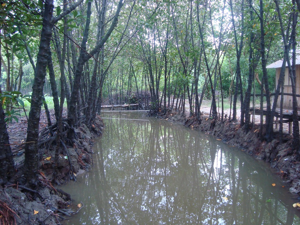 Tanam Mangrove, Wujud Bakti Bahari Nusantara